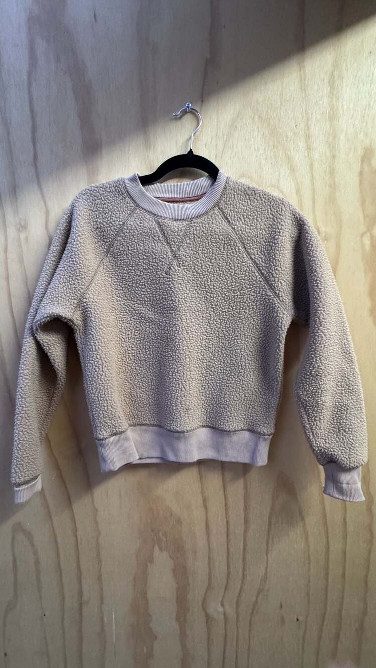 Everlane The Eco-Cotton Raglan Sweatshirt Teddy Sherpa Crewneck XS